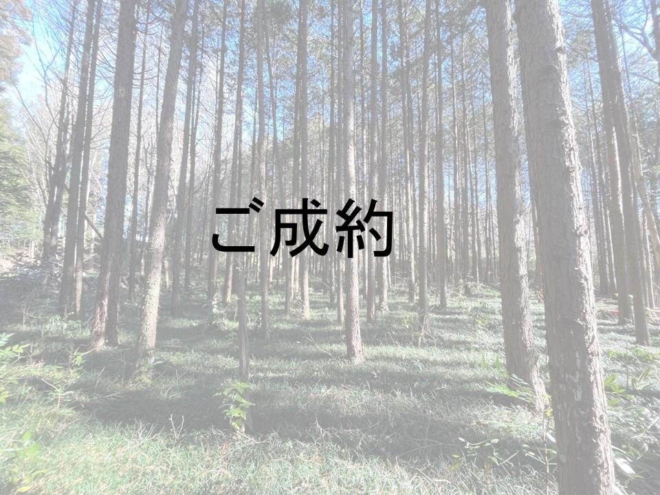 山林成約